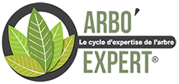 Visuel logo arbo expert