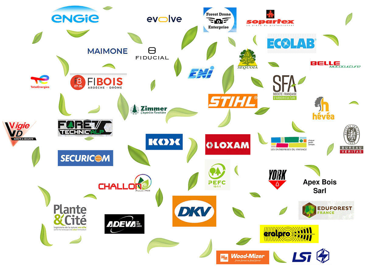 Visuel logos partenaires